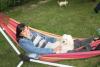 Klicken zum ansehen img_3283_t1.jpg