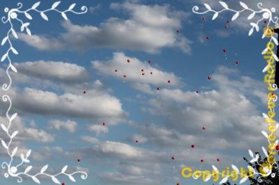 Luftballons für das Brautpaar